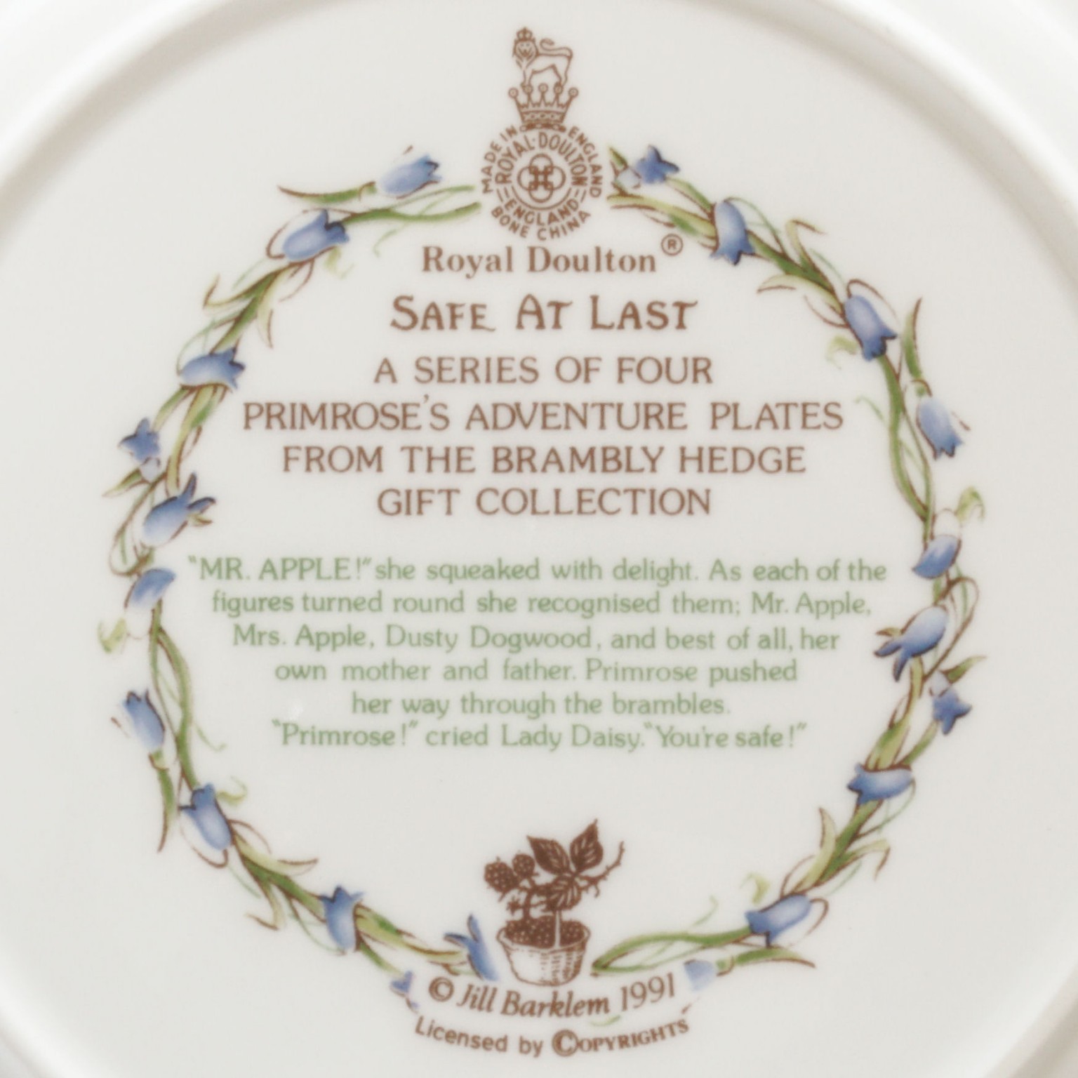 Nivag Collectables: Royal Doulton - Brambly Hedge: Safe At Last 